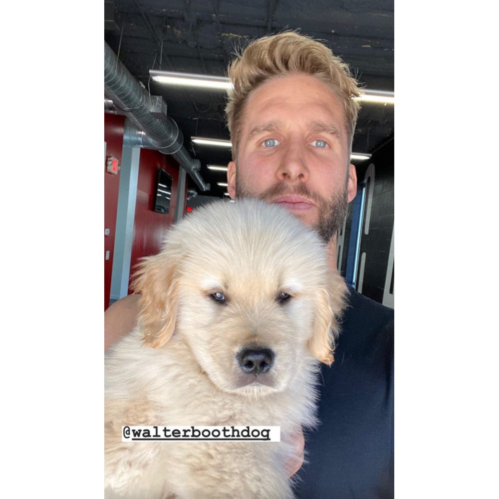 Shawn Booth Gets Adorable New Puppy Named Walter