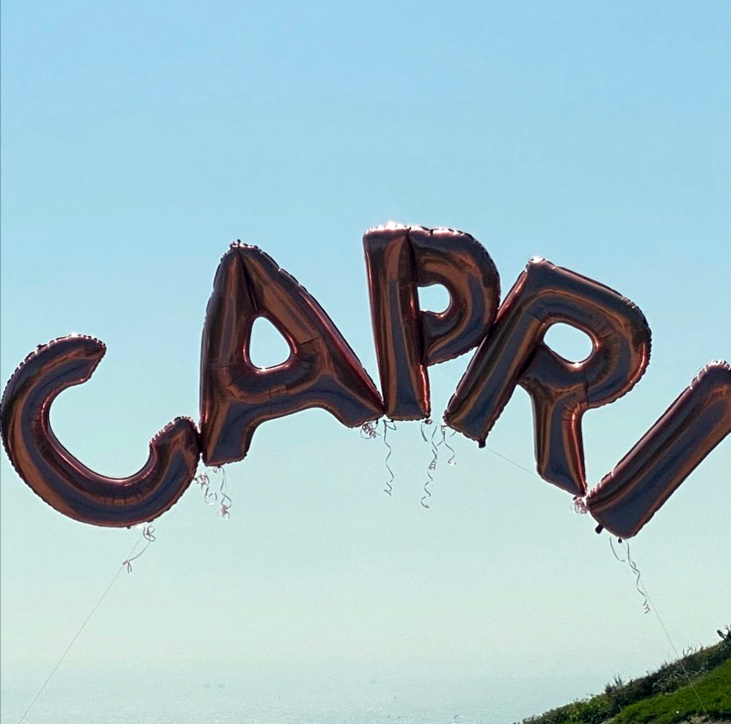 See Vanessa Bryant's Heartwarming Birthday Homage to Capri: Photos –  SheKnows