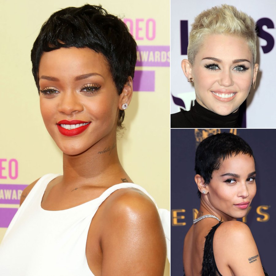 Most Dramatic Celebrity Hair Changes of All Time Pics