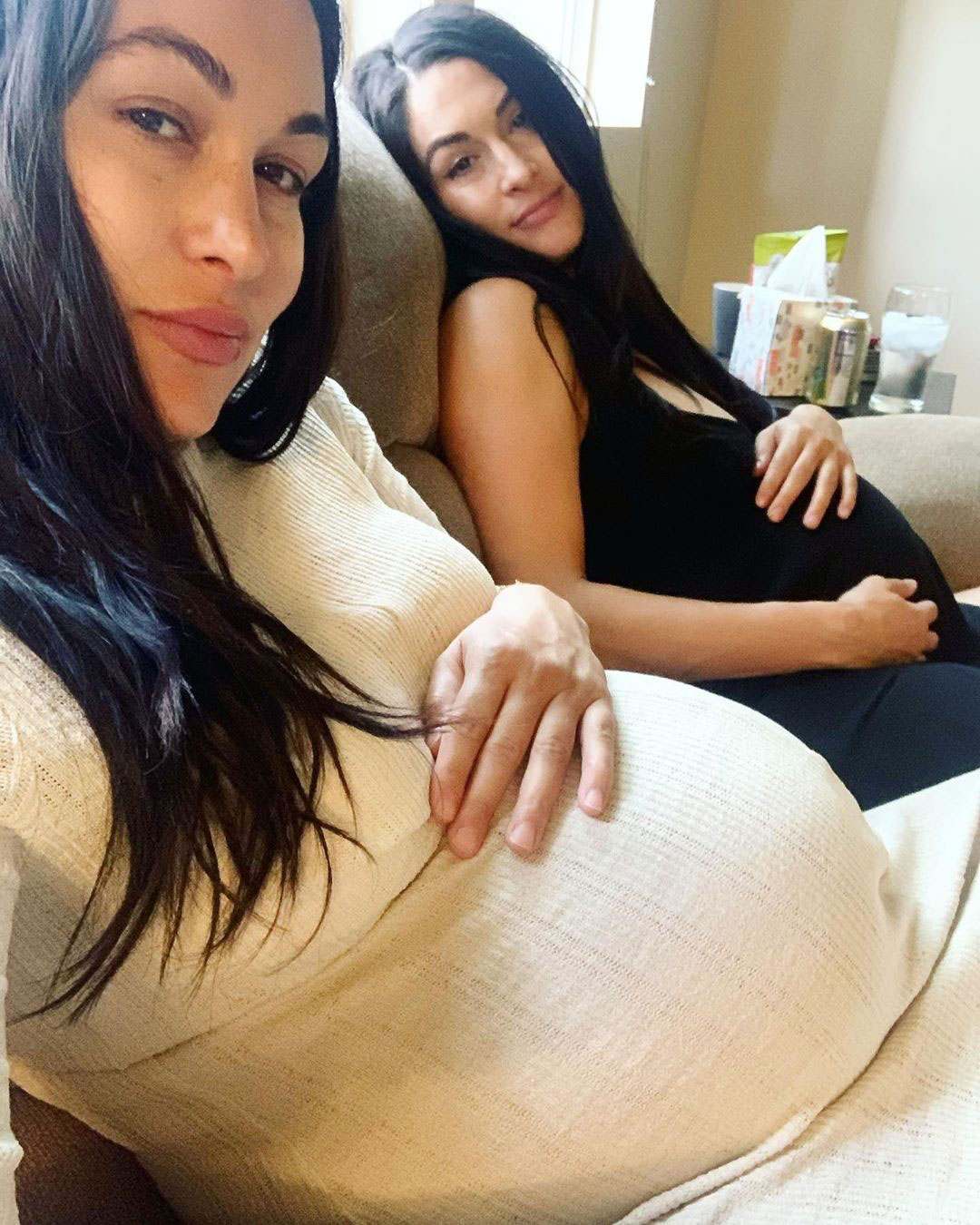 Nikki, Brie Bella’s Baby Bump Album Pregnancy Pics