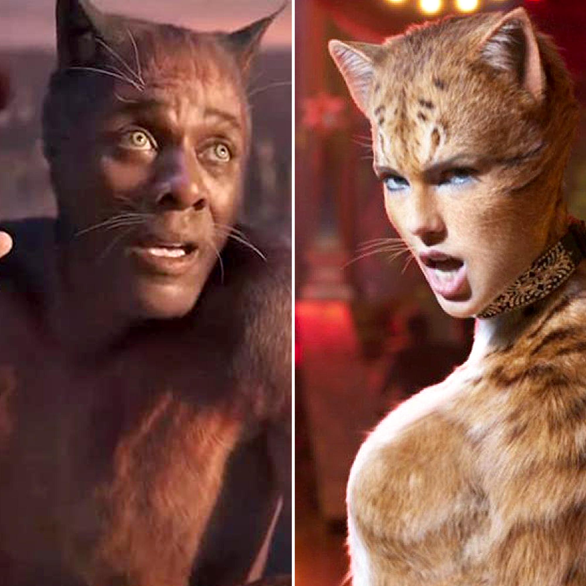 Cats' Movie Details, News, Cast, Date - Taylor Swift, Judi Dench, Idris  Elba Cast in Cats Adaptation