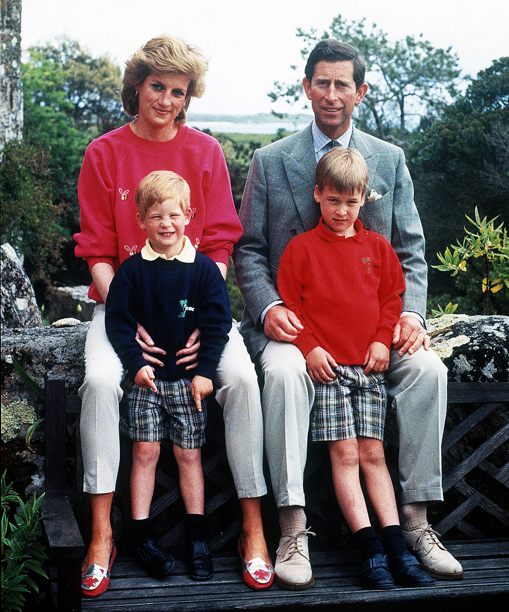 Princess Diana Would Ve Made Sons Fix Their Issues Author Says