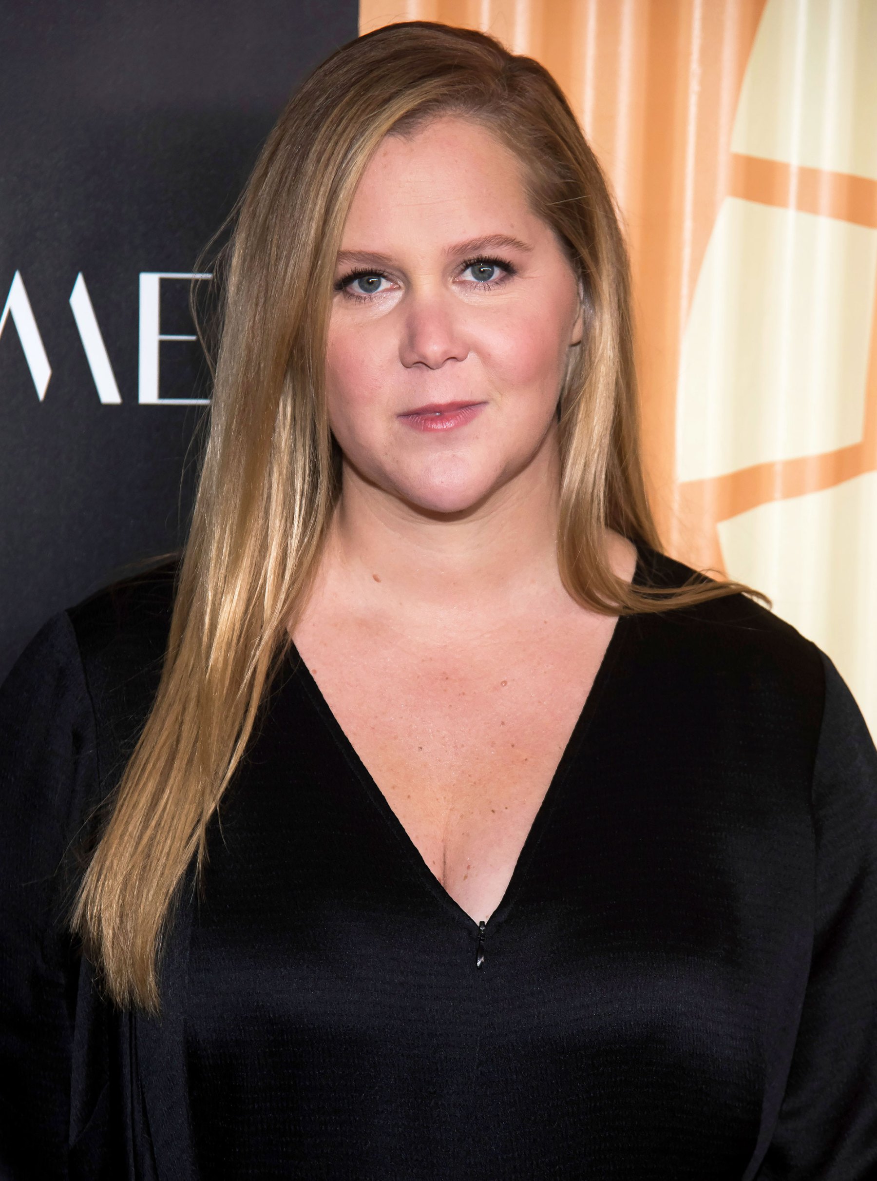 Amy Schumer Reveals Lyme Disease Diagnosis Us Weekly