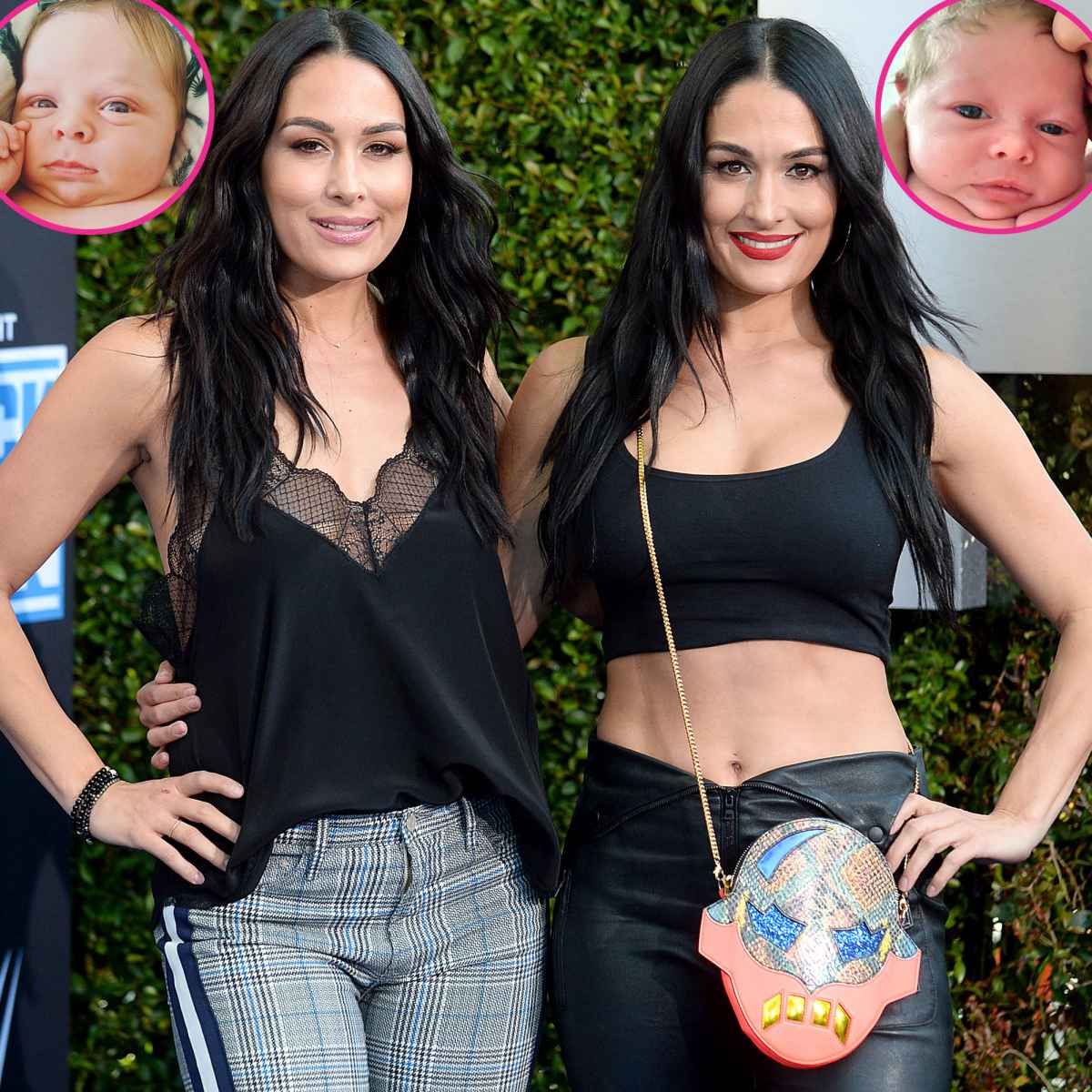 Nikki & Brie Bella Talk Getting In Shape After Having Babies – Hollywood  Life