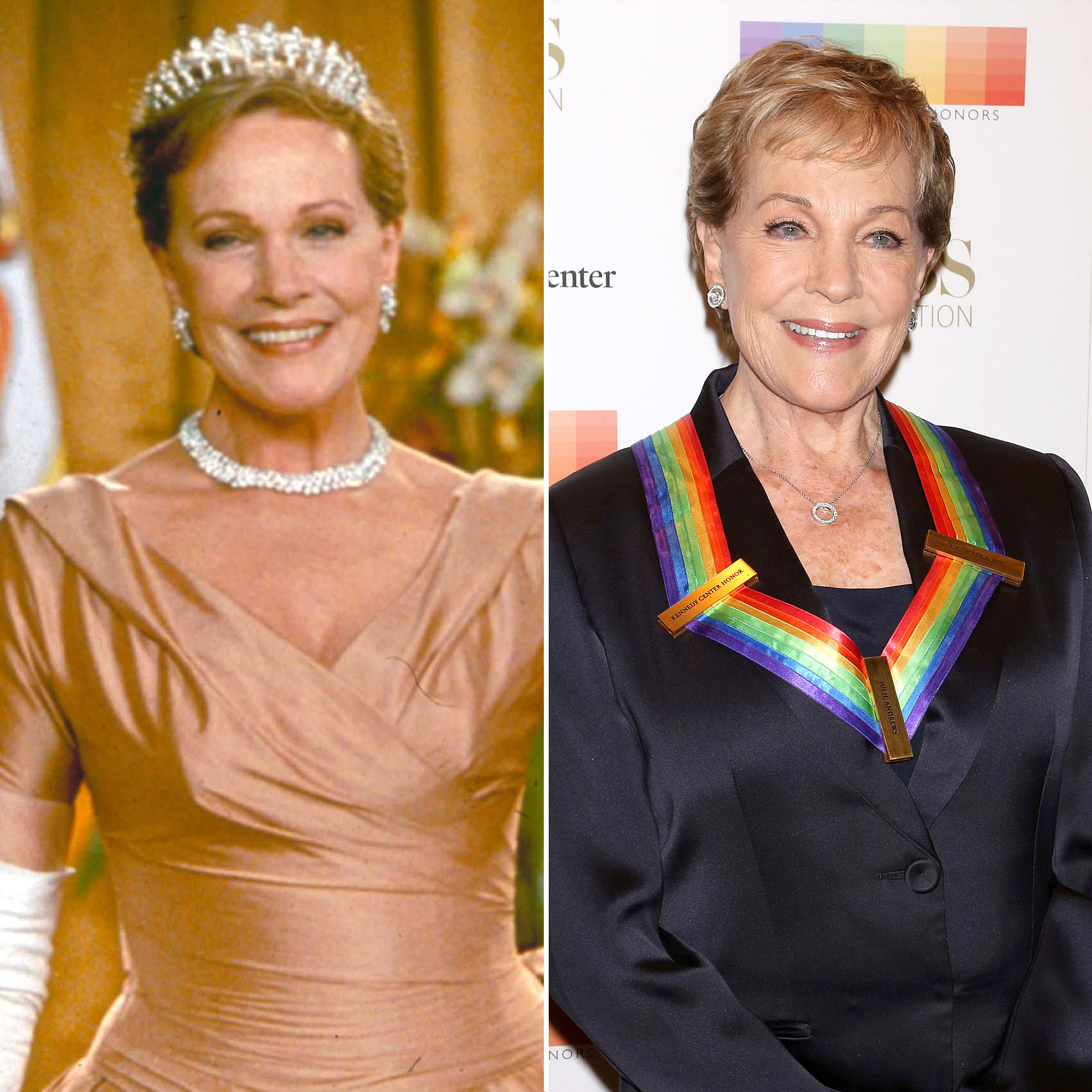 'The Princess Diaries' Cast: Where Are They Now?