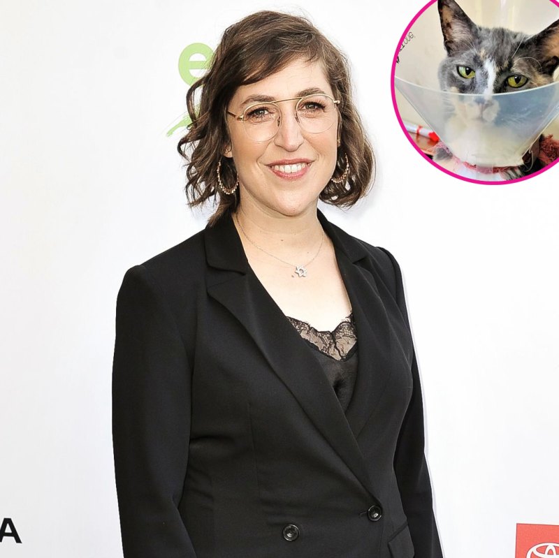 Mayim Bialik Details Quarantine Life With Her 3 Cats p