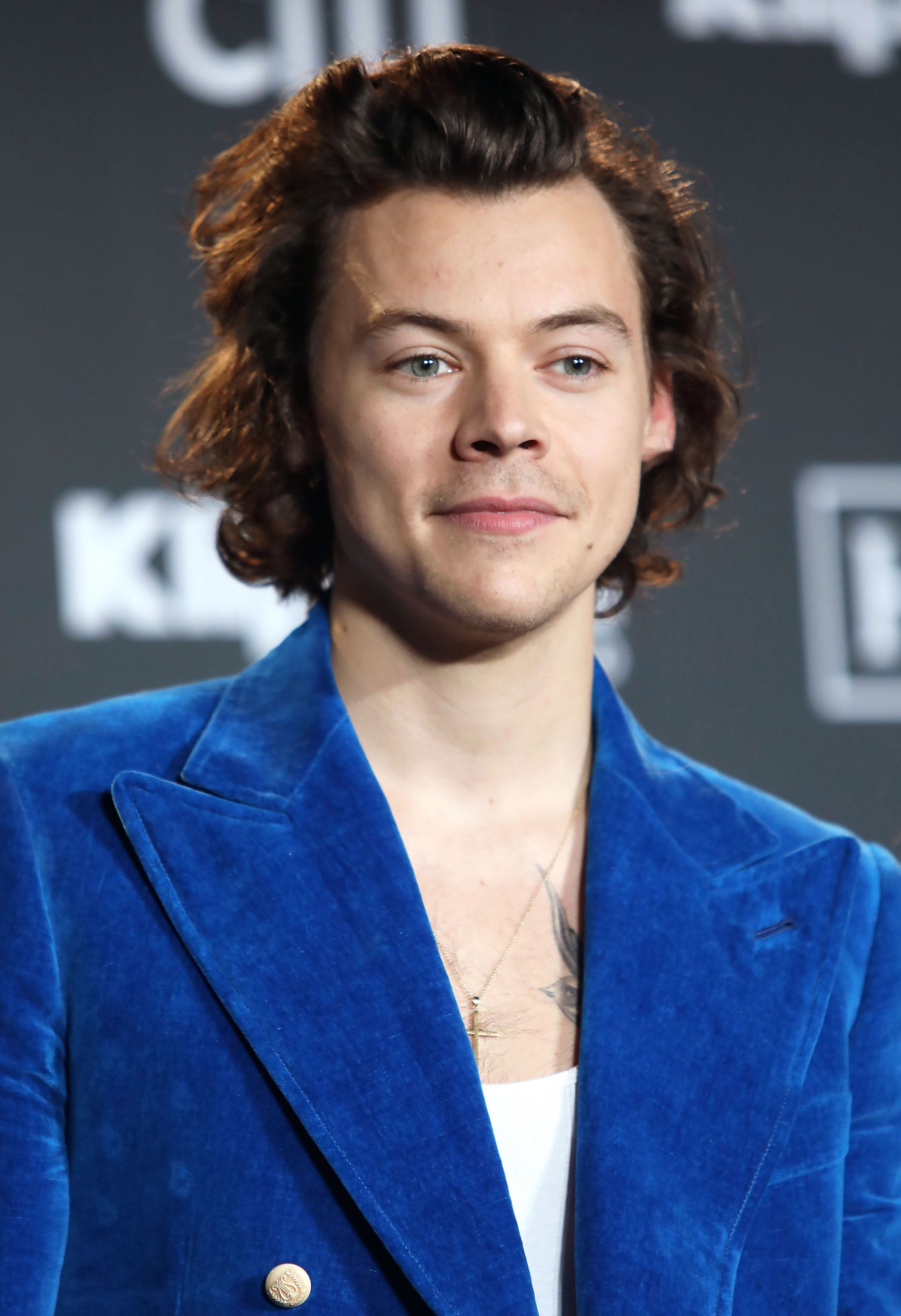 Harry Styles’ Hair Evolution, Changing Hairstyles Pics