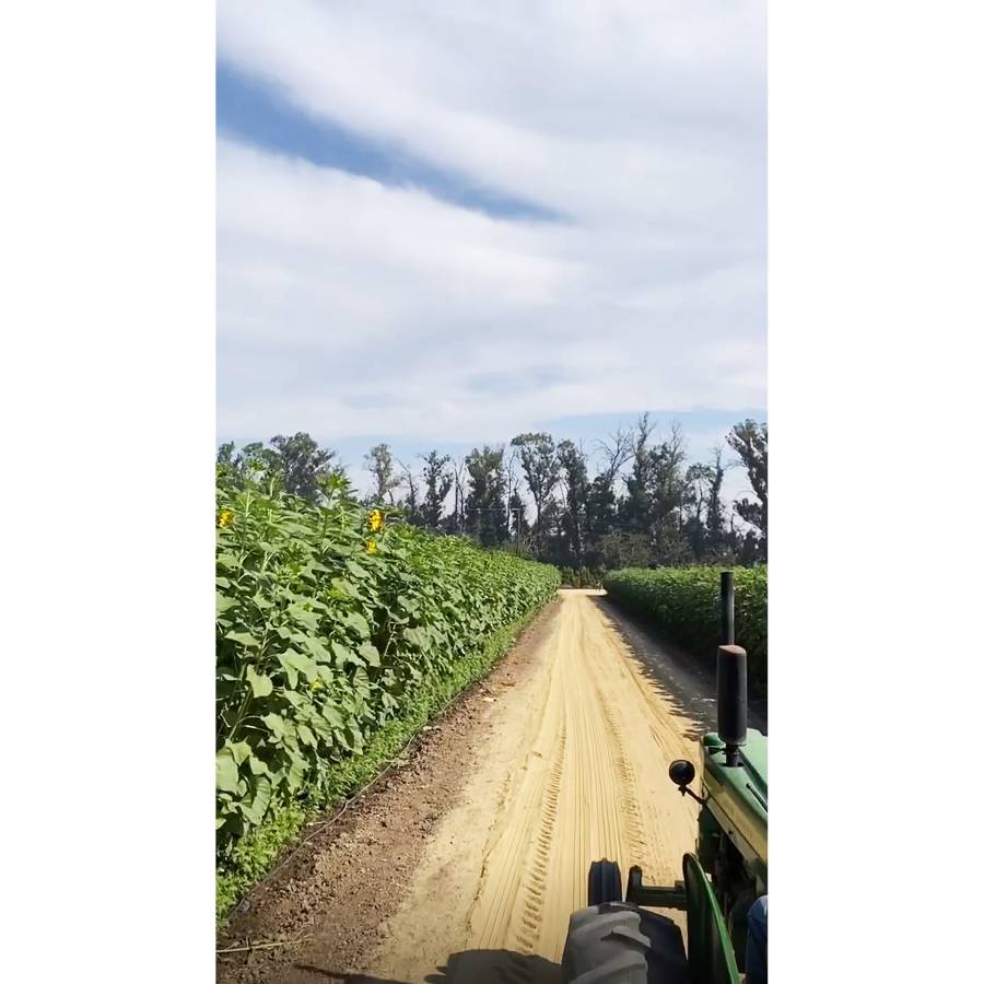 Kylie Jenner and Travis Scott Take Daughter Stormi to the Pumpkin Patch