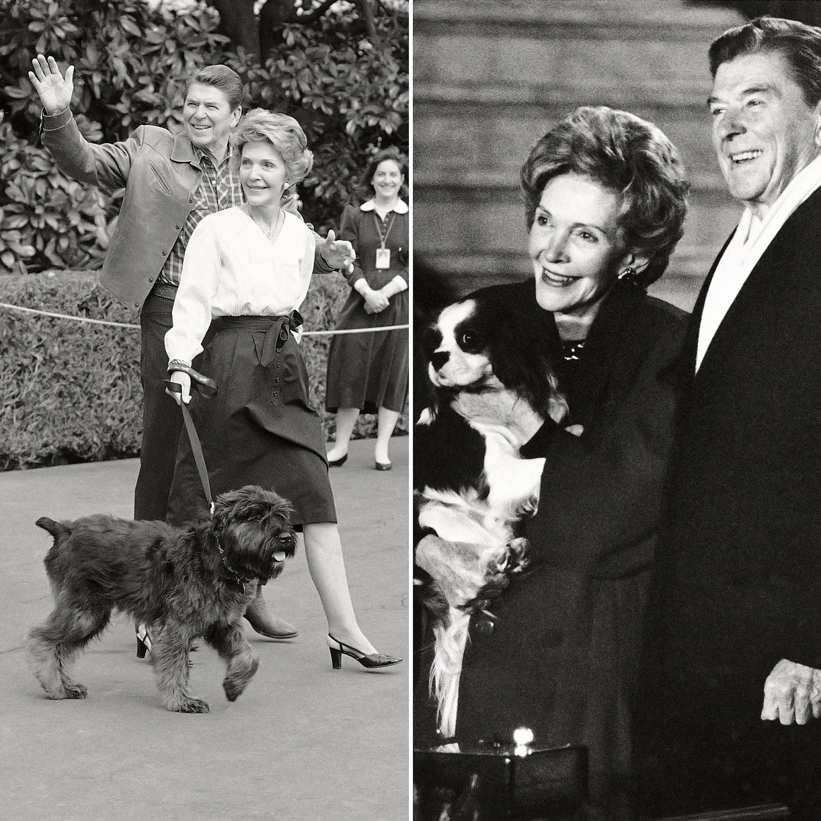 Pets in the White House Through the Years