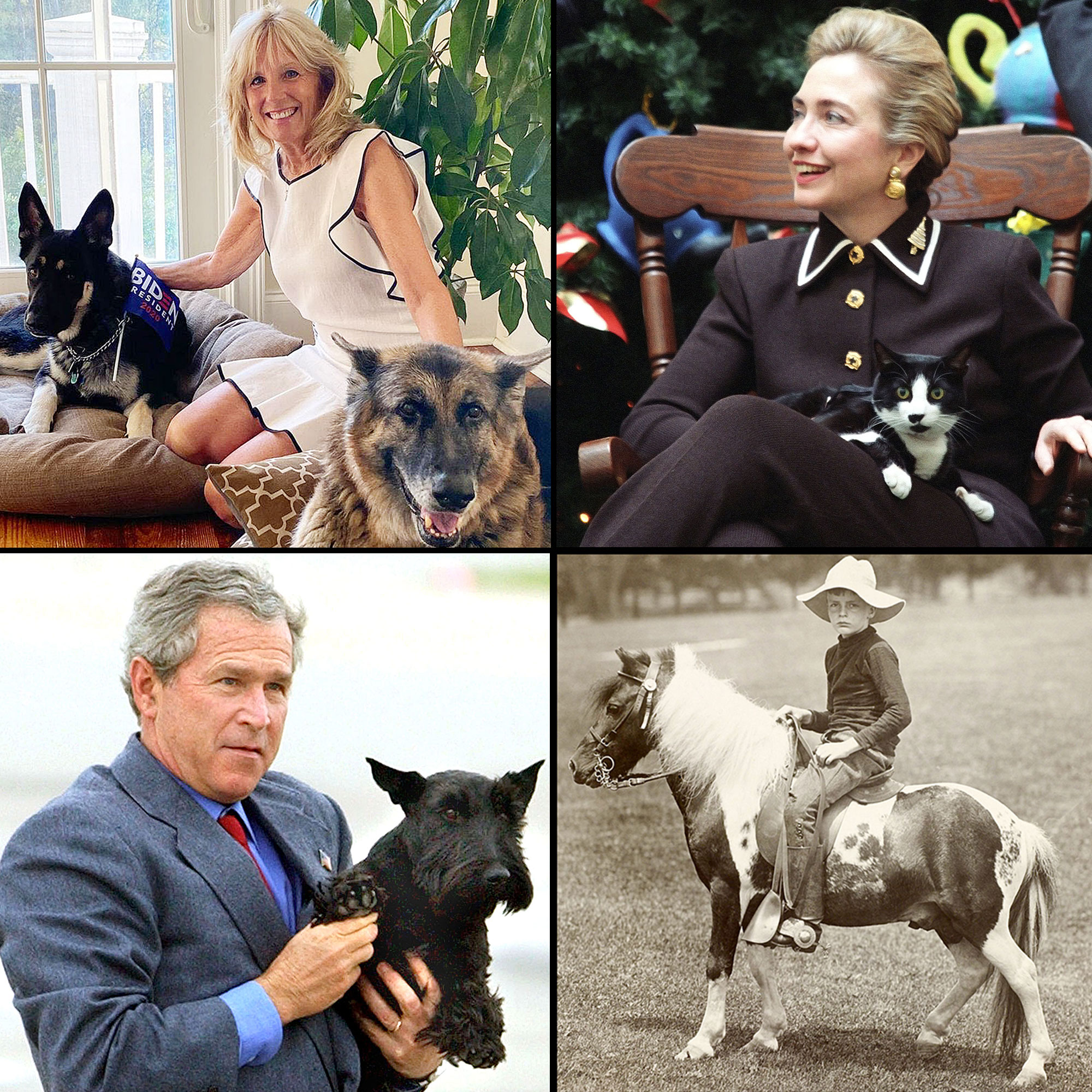 white house pets