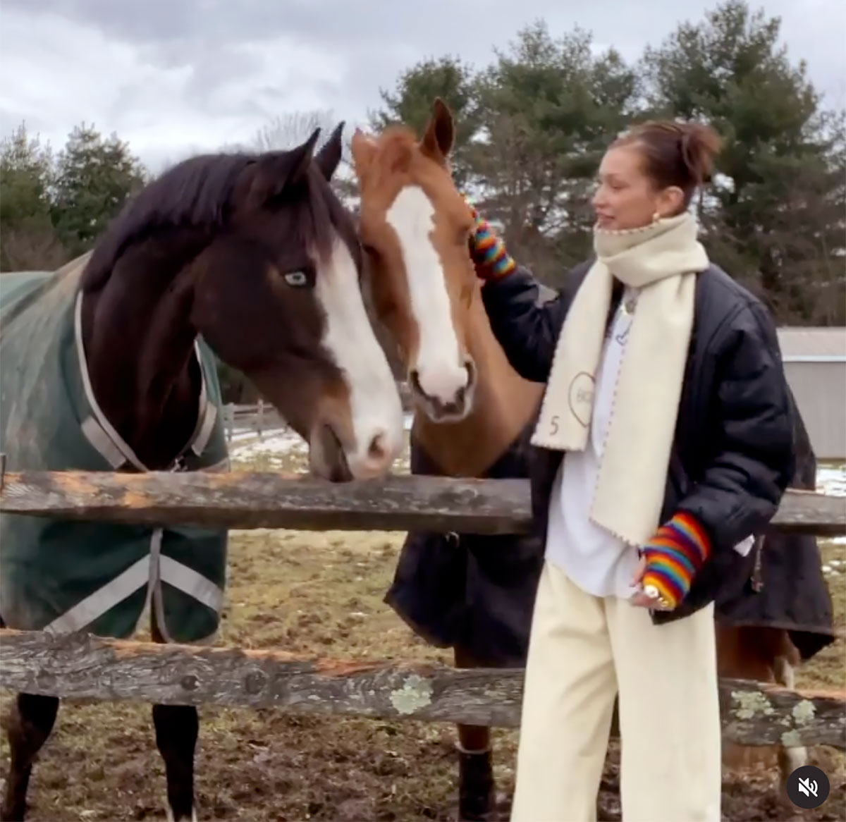 Phong cách trang trại của Bella Hadid cũng hợp thời trang như vẻ ngoài thảm đỏ của cô ấy