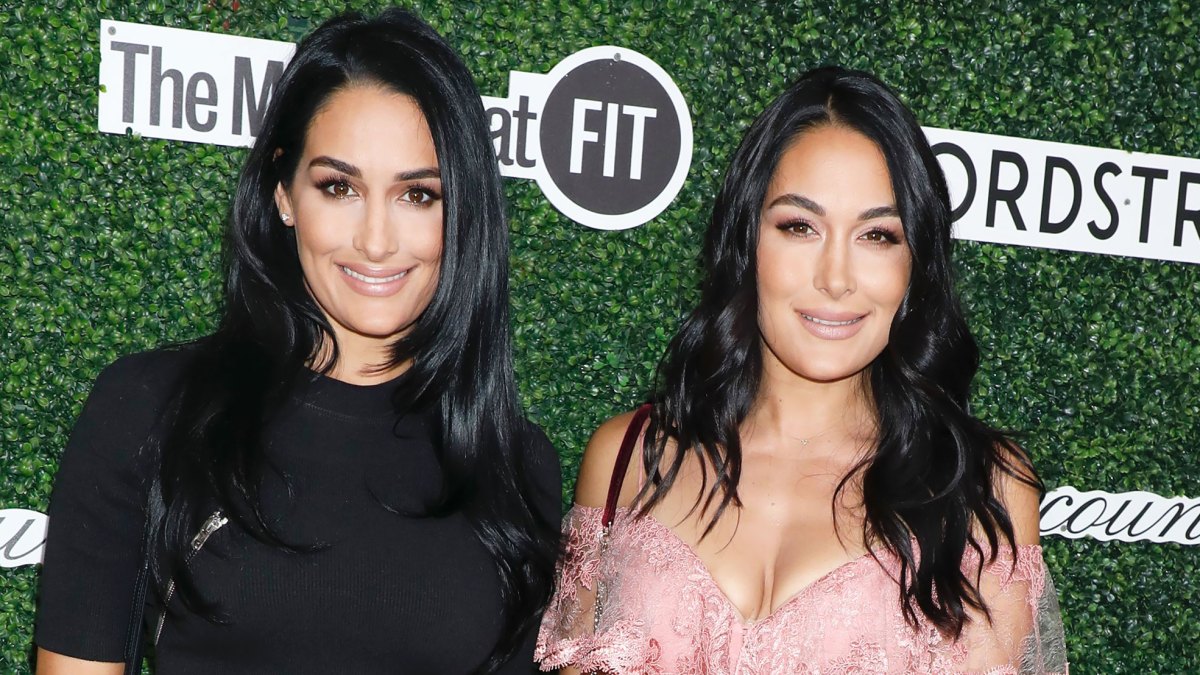 Nikki & Brie Bella Talk Getting In Shape After Having Babies – Hollywood  Life