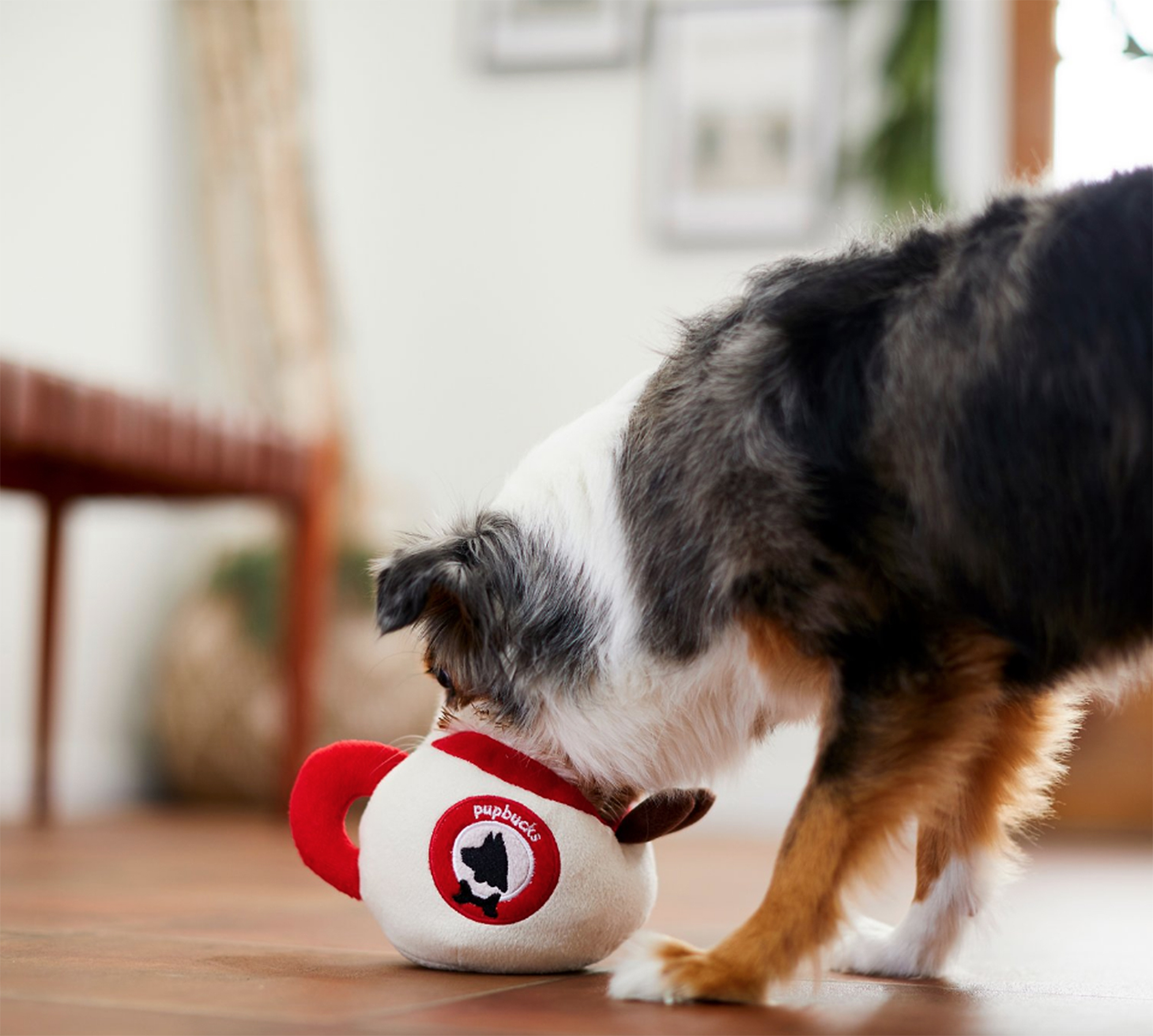 Chewy kong hot sale collar