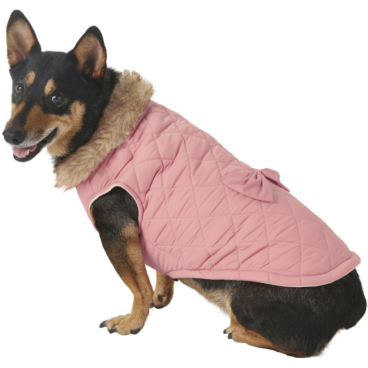 frisco aspen quilted dog jacket