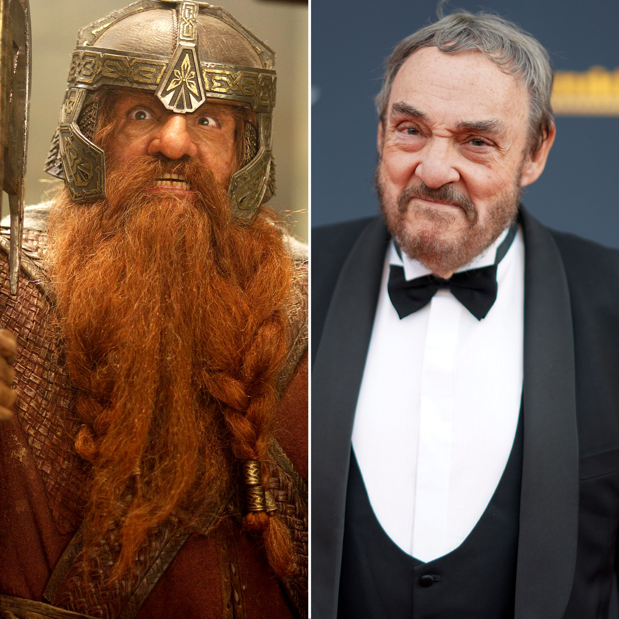 Why Didn't John Rhys-Davies Get The Fellowship's 'Lord Of The