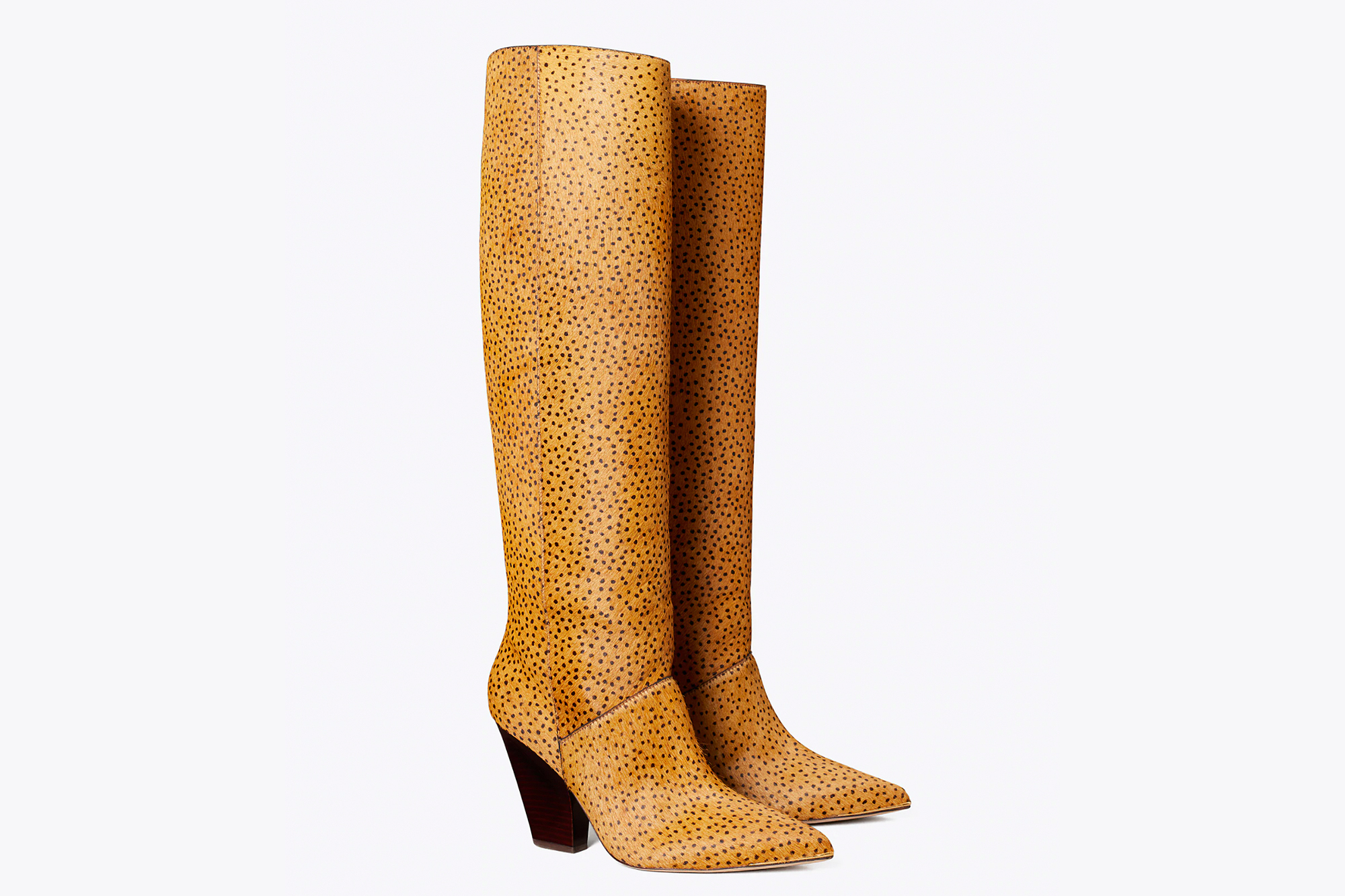 Tory burch 2024 leopard booties