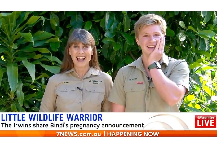 Pregnant Bindi Irwin Brother Roberts Says Shes Massive Now