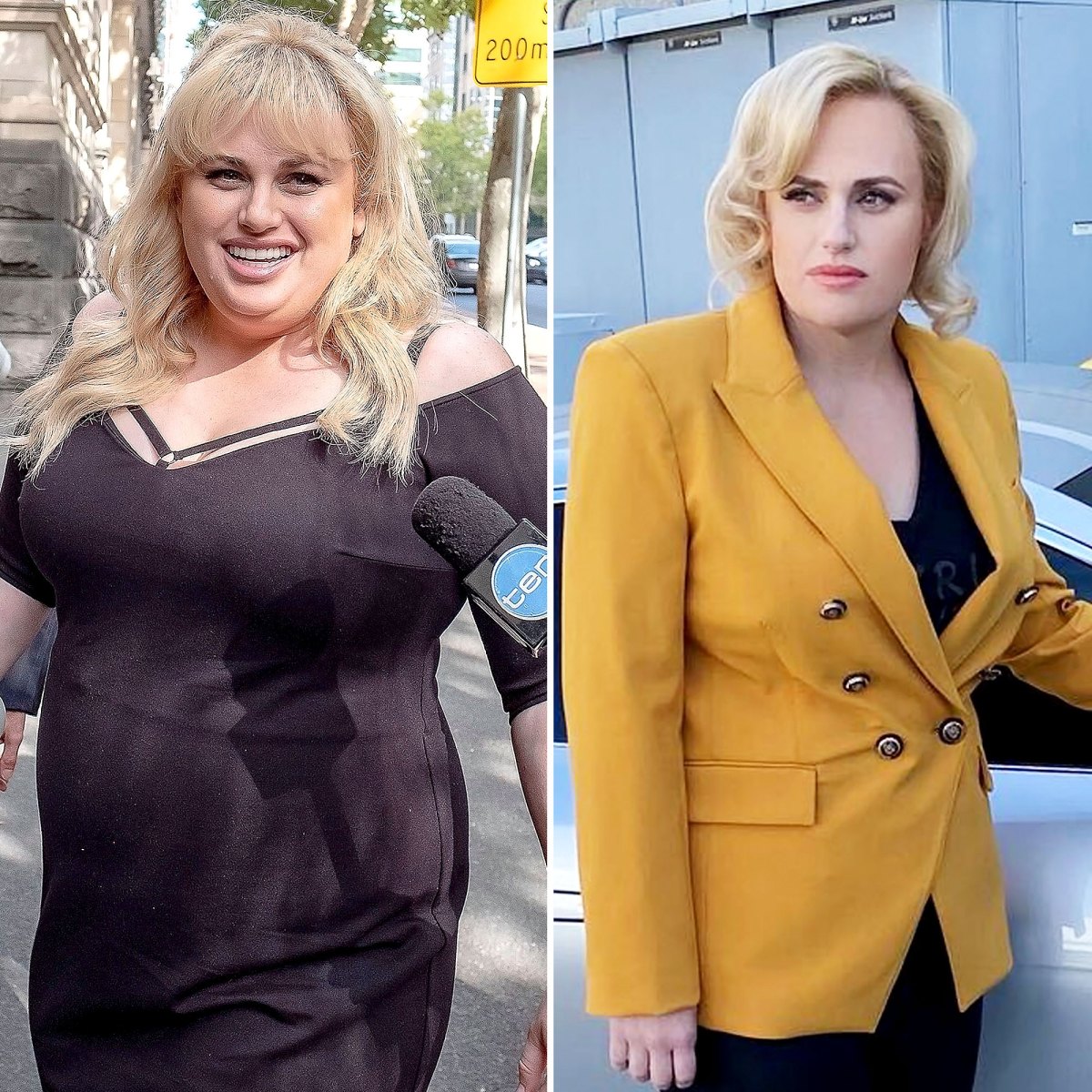 Rebel Wilson Feels 'So Proud' of Her Weight Loss Transformation