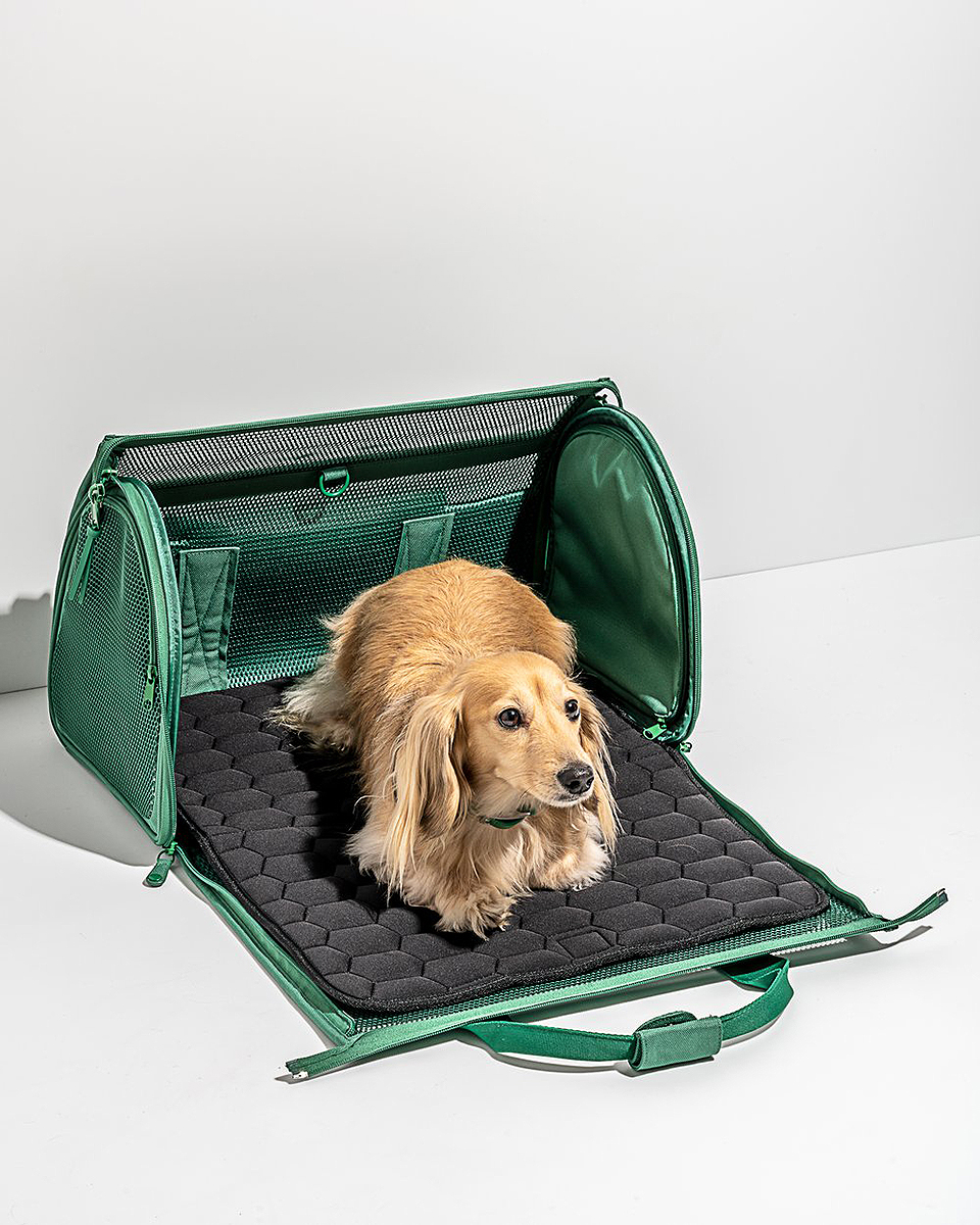 wild-one-dog-travel-carrier