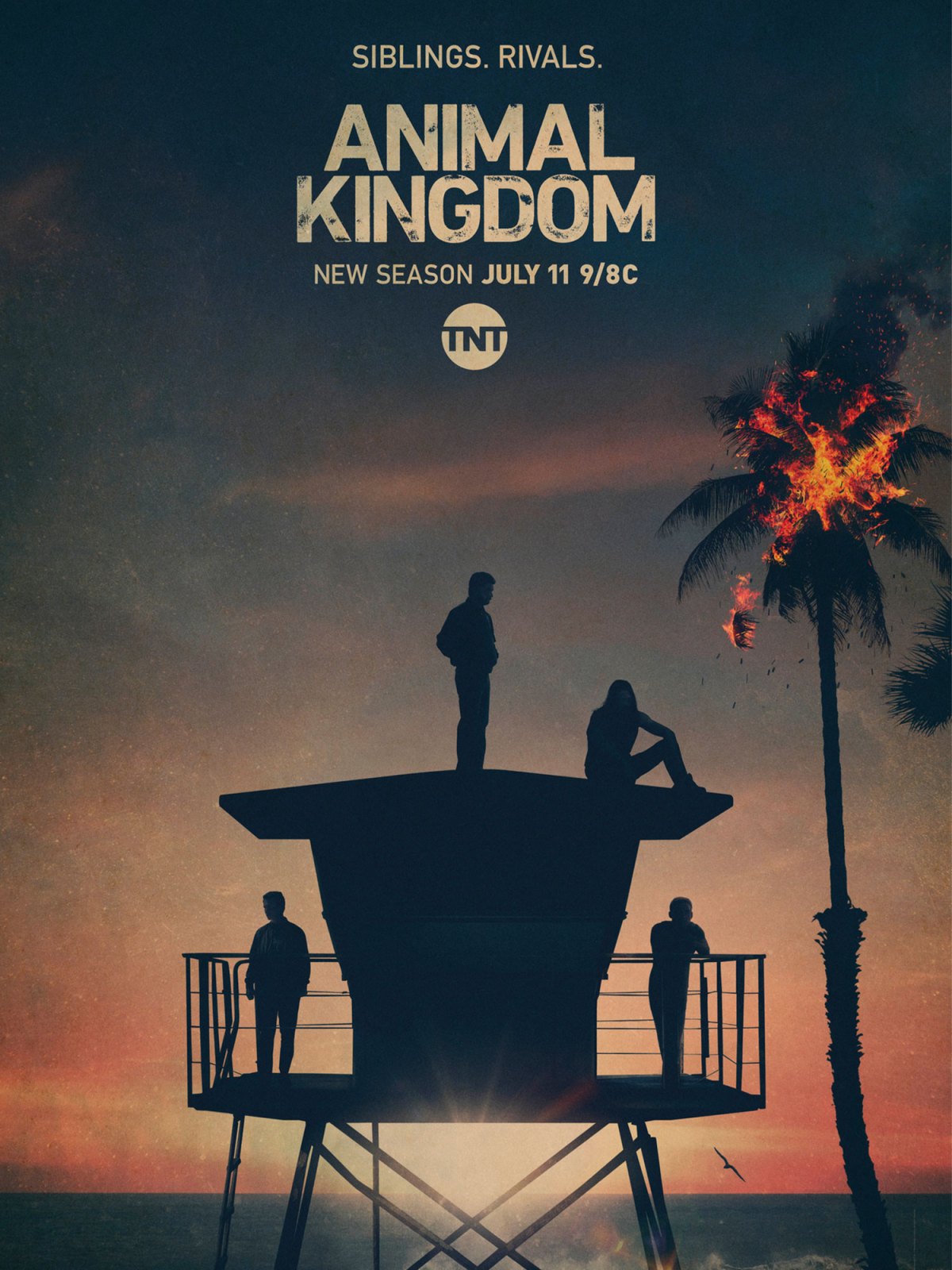 TNT's 'Animal Kingdom’: Everything to Know Before Season 5