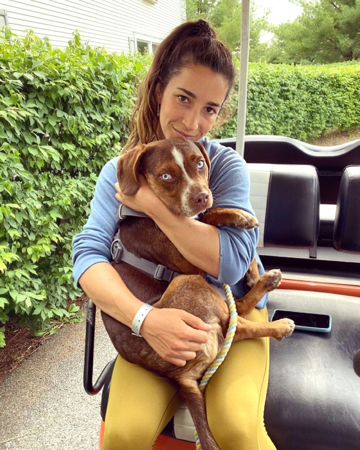 Cachorro de Aly Raisman encontrado seguro depois de desaparecer em 4 de julho: foto