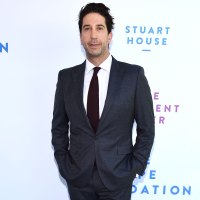 Friends Monkey Trainer Slams David Schwimmer After Reunion Comments