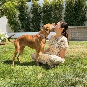 Jenna Dewan Mourns Sudden Loss Dog Violet Mae Sad Beyond Words