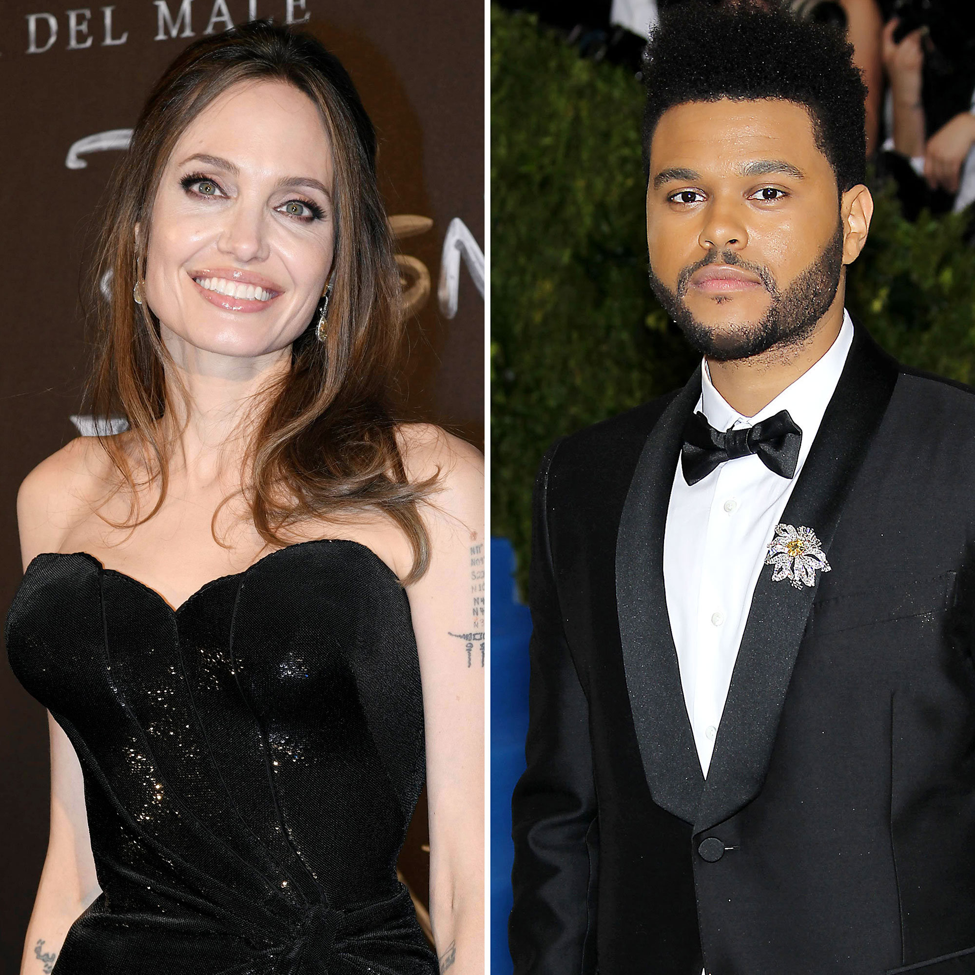 2000px x 2000px - Angelina Jolie, The Weeknd Friendship 'Could Turn Romantic'