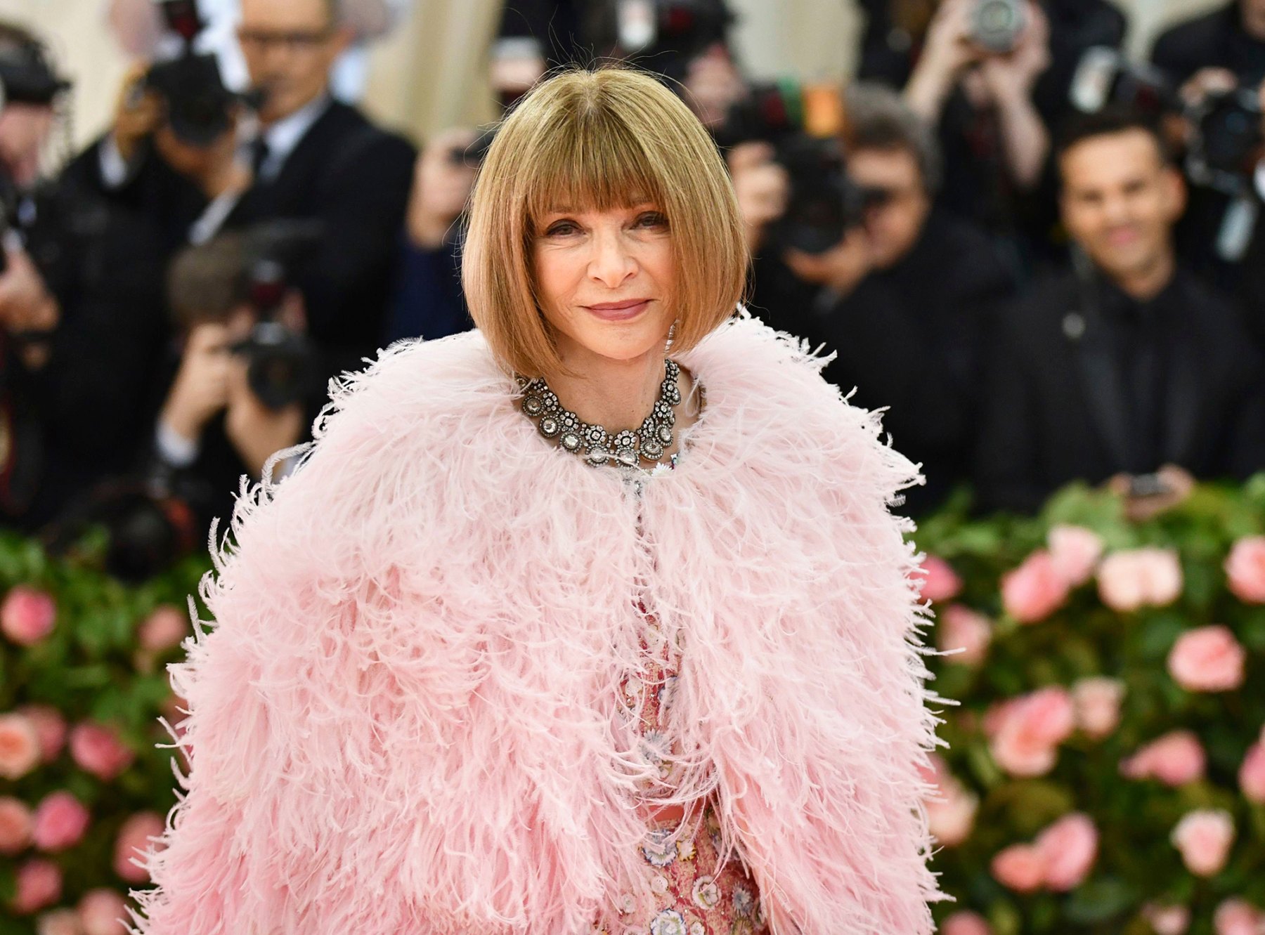 Anna Wintour's Best Met Gala Looks Through the Years Pics