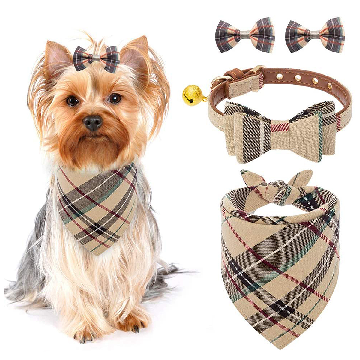 The 12 Best Gifts for Pet Lovers This 2022 Holiday Season