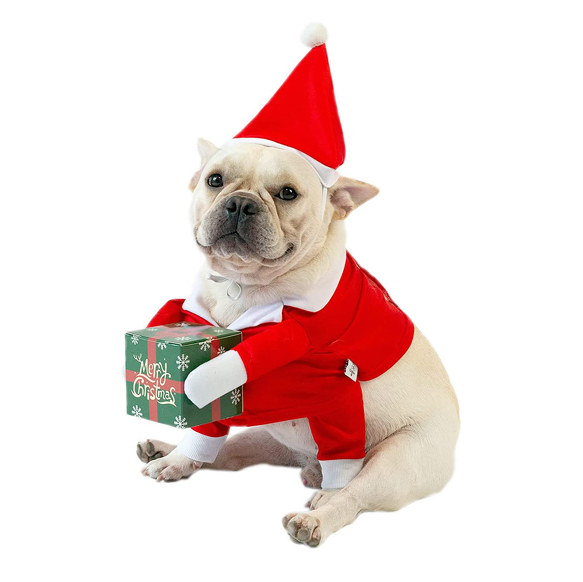 Gifts for Pets and Pet Lovers - Updated for 2021 - Bellwether Events