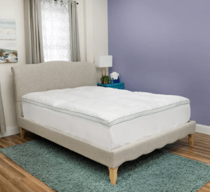 BioPEDIC Fresh and Clean 2.5-Inch Down Alternative Mattress Topper