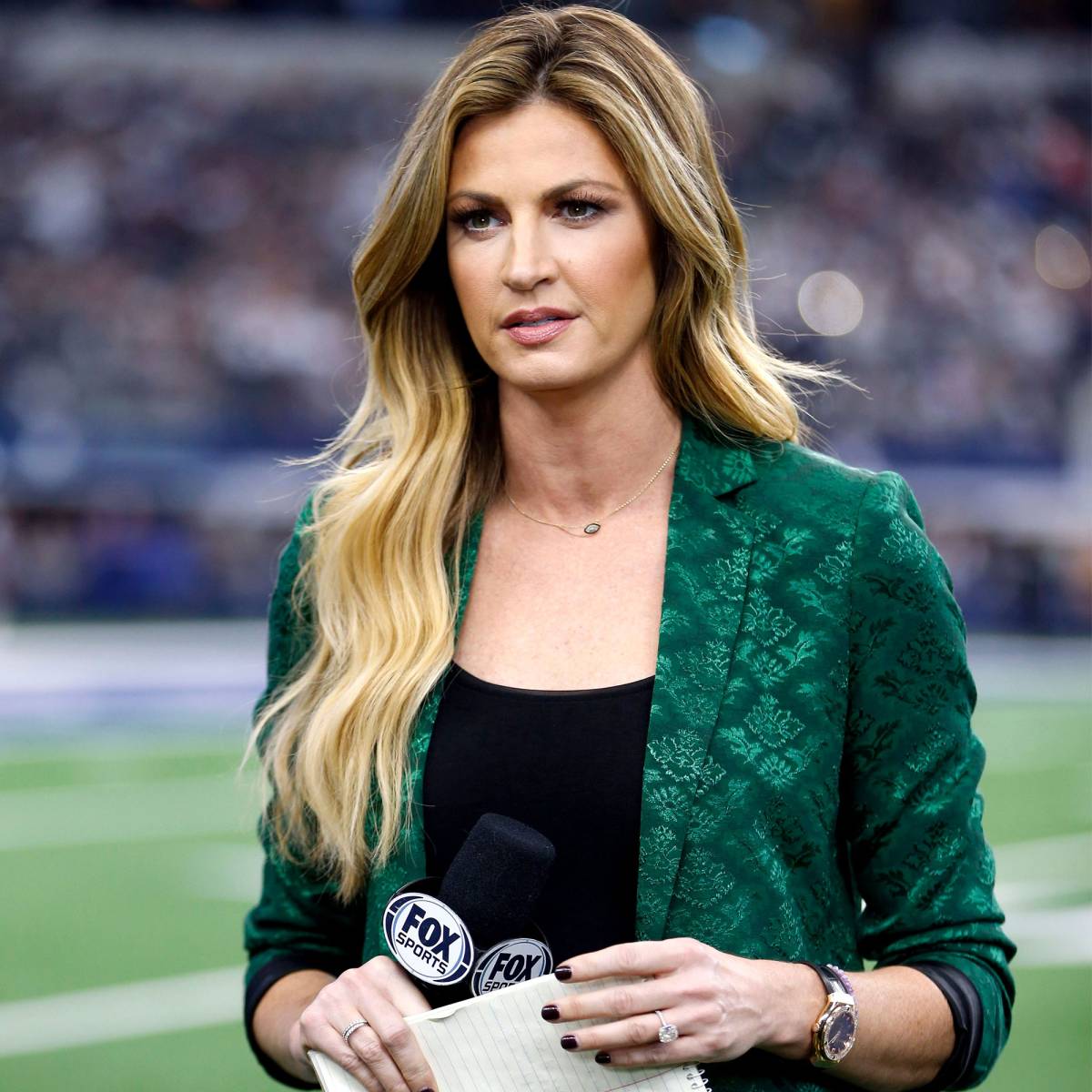 Erin Andrews in images through her career