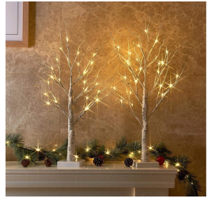 PEIDUO Set of 2 2FT 24LT Birch Tree Battery Powered Warm White LED Decoration