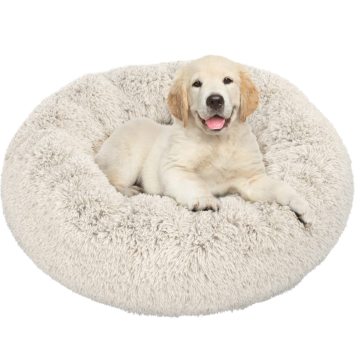 cyber-week-deals-dog-bed