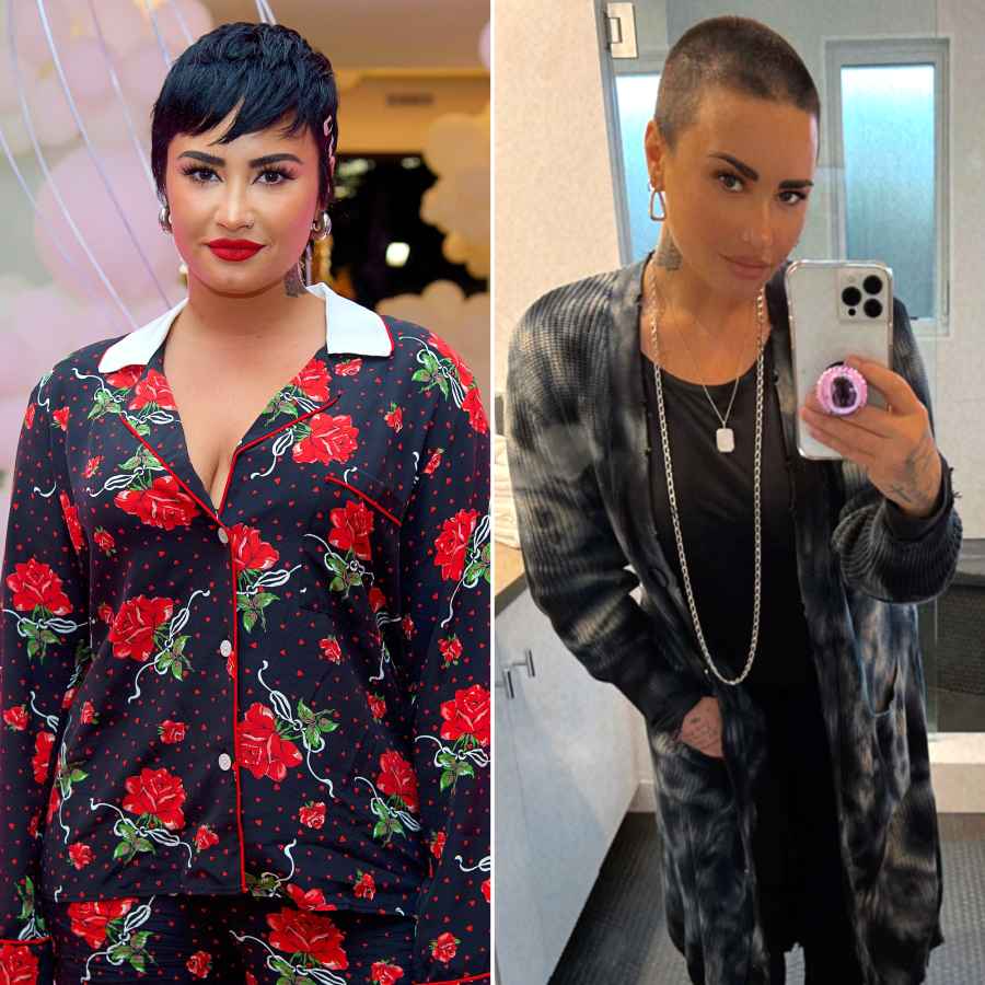 Demi Lovato Shaves It All Off! See Her Dramatic New Look