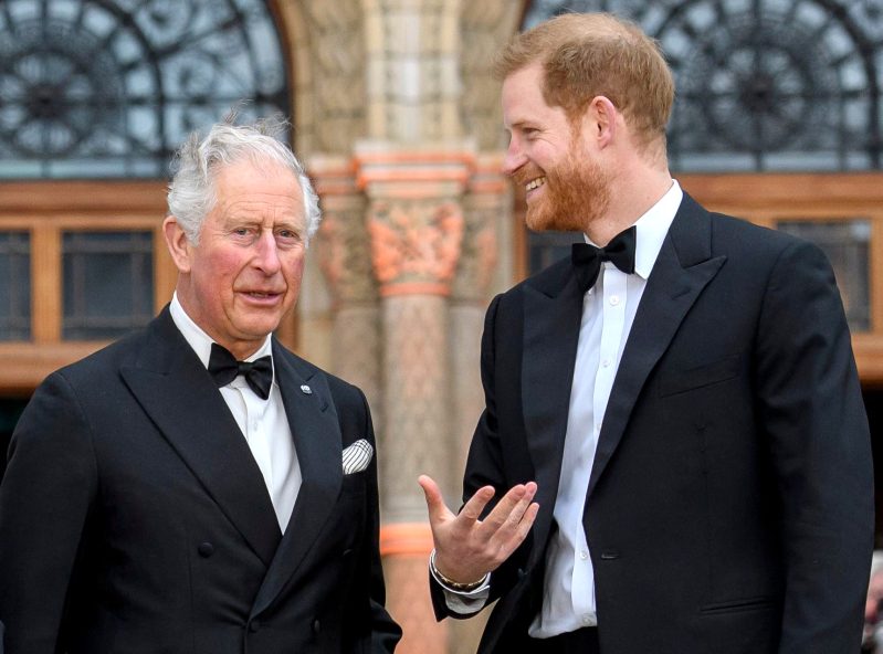 Prince Charles, Prince Harry Relationship Has 'Absolutely' Improved ...