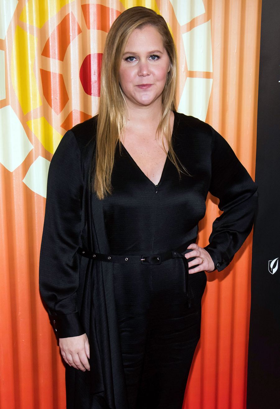 Amy Schumer's Most Honest Quotes About Her Liposuction Surgery | Us Weekly