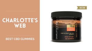 Best CBD Gummies - US Weekly