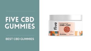 Best CBD Gummies - US Weekly