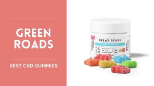 Best CBD Gummies - US Weekly