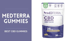 Best CBD Gummies - US Weekly