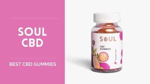 Best CBD Gummies - US Weekly