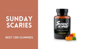 Best CBD Gummies - US Weekly