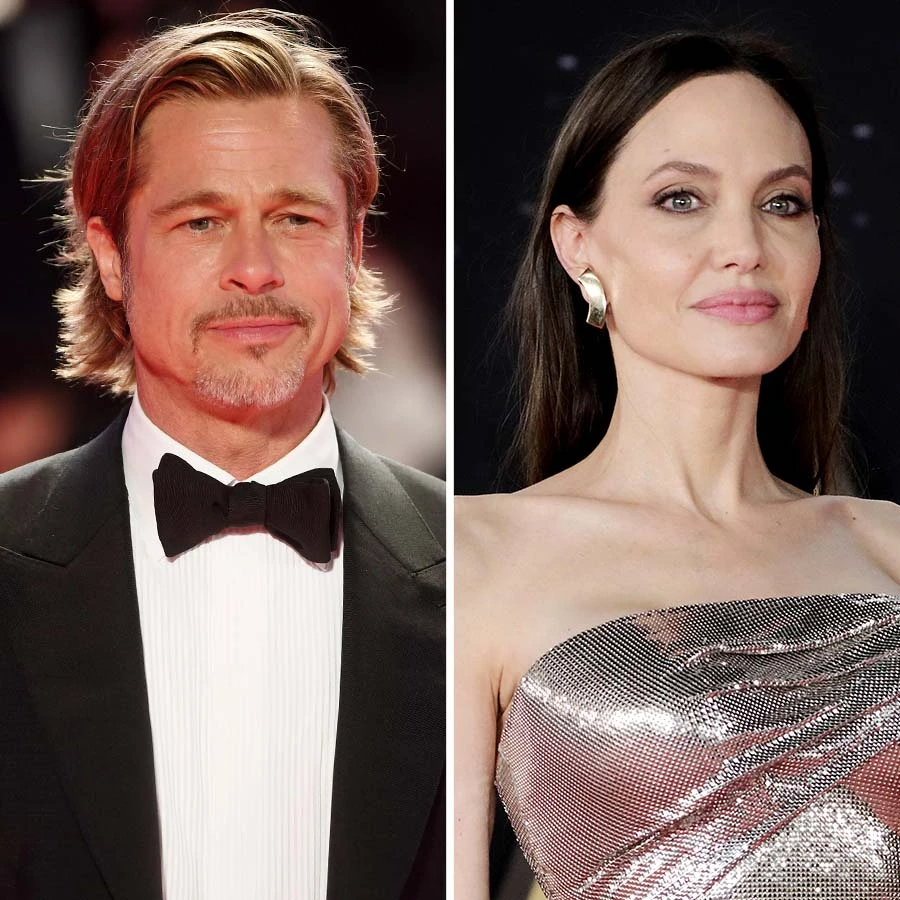 900px x 900px - Brad Pitt and Angelina Jolie's Winery Lawsuit: Everything to Know
