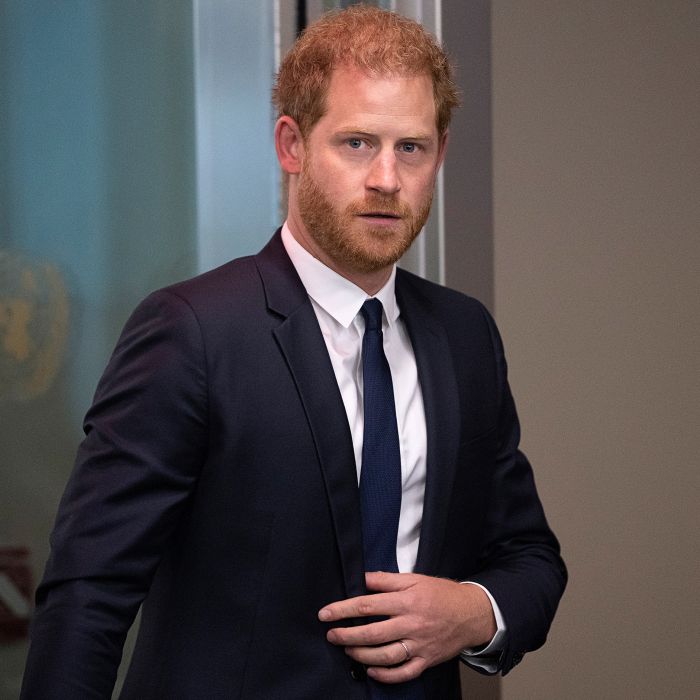 Why Prince Harry Is Not ‘Qualified’ to Speak at the United Nations | Us ...