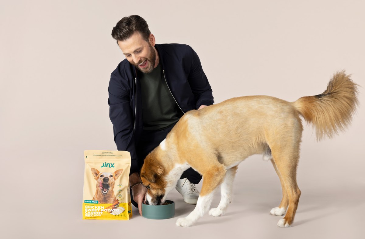 Chris Evans and His Dog Dodger · The Wildest