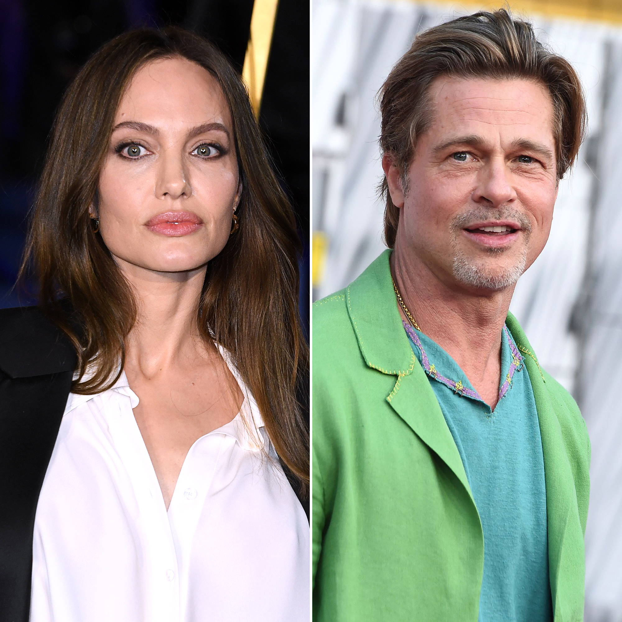 Angelina Jolie Shemale Porn - Angelina Jolie Sued FBI Over Brad Pitt's Alleged 2016 Assault