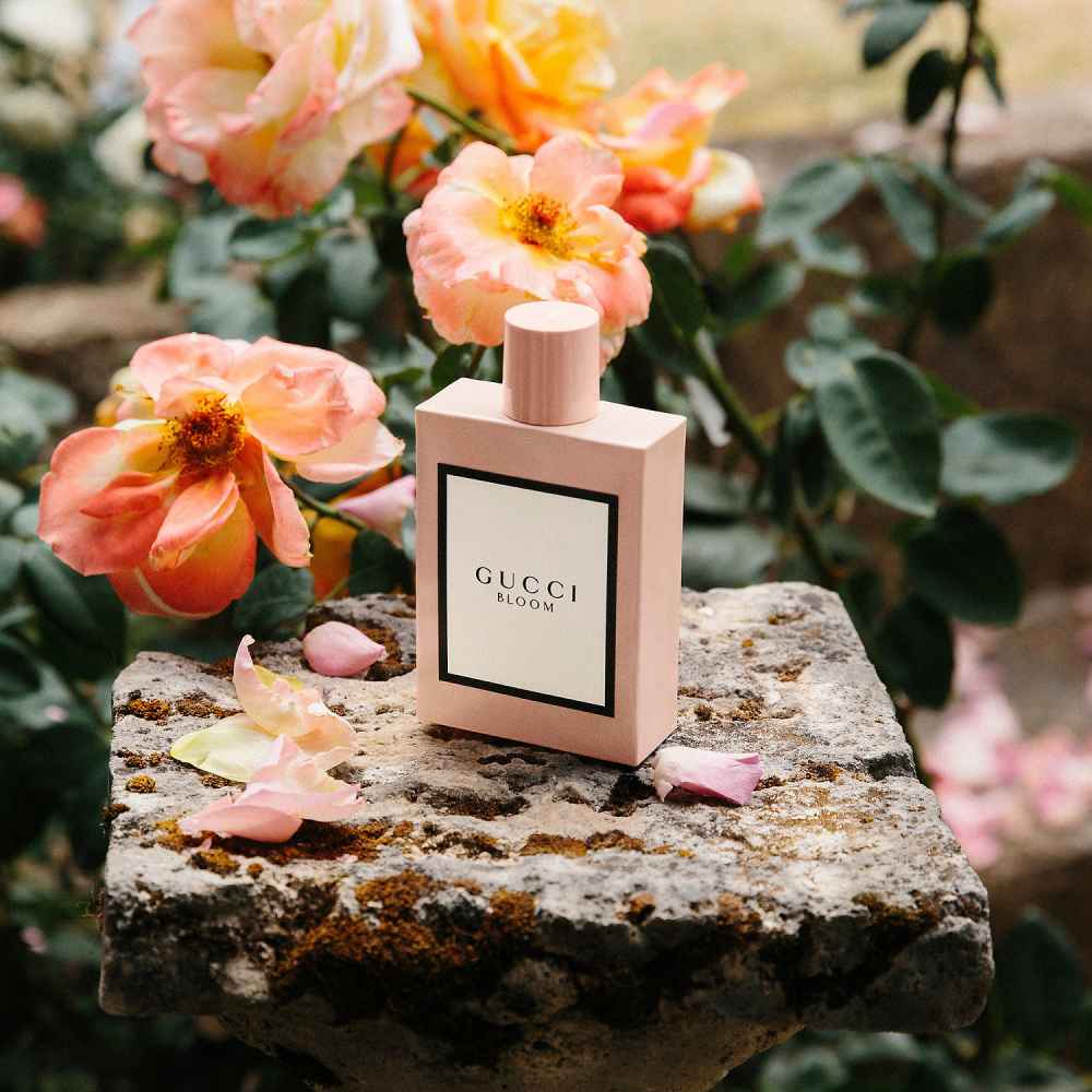 Orange Flower Bloom Zara perfume - a new fragrance for women 2022