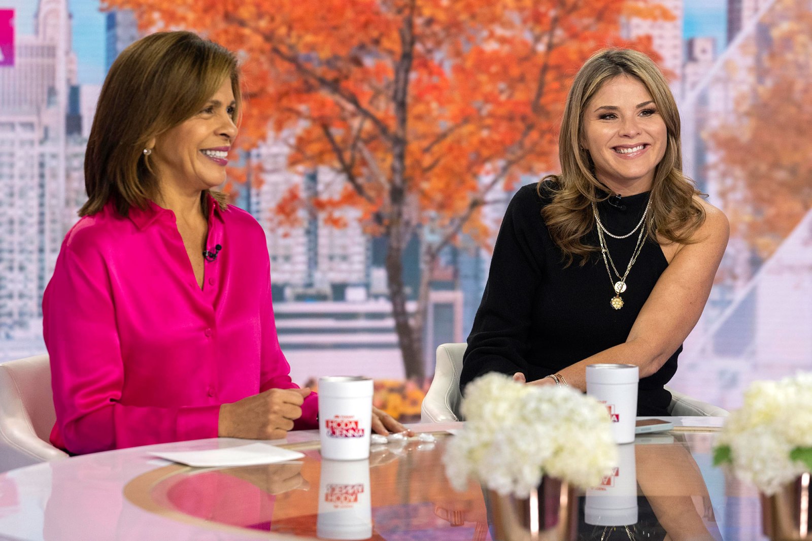 Today's Hoda and Savannah Think Jenna's Underwear Hack Is 'Gross' | Us ...